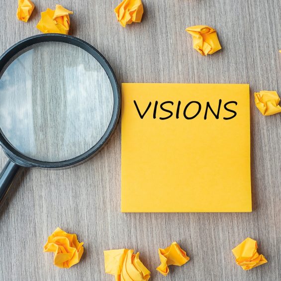 Vision concept